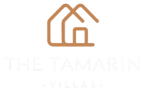 tamarin logo removebg preview